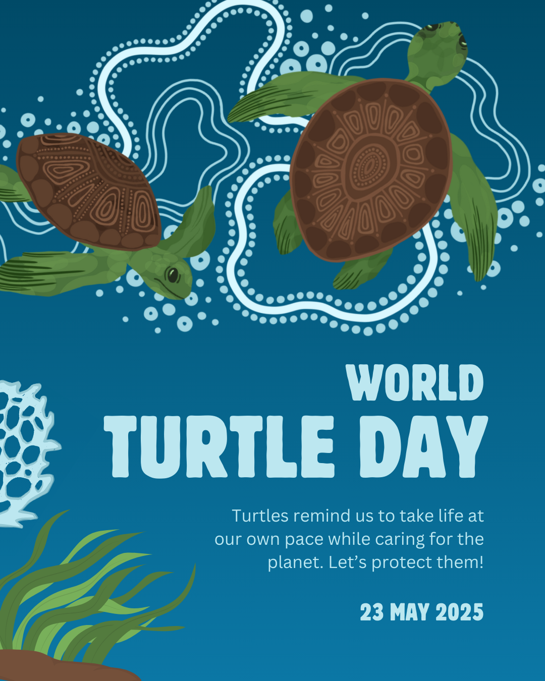 World turtle day graphic